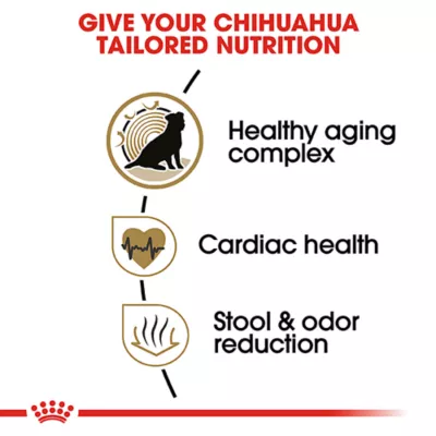 Product Royal Canin Breed Health Nutrition Chihuahua Breed Specific Aging 8+ Senior Dog Dry Food - 2.5 lb