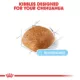 Product Royal Canin Breed Health Nutrition Chihuahua Breed Specific Aging 8+ Senior Dog Dry Food - 2.5 lb
