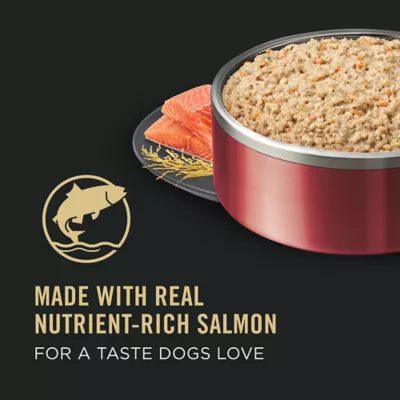 Product Purina® Pro Plan Sensitive Skin & Stomach Adult Wet Dog Food - Classic Pate, Salmon & Rice, 13 oz