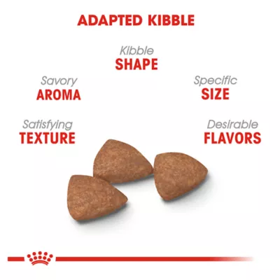 Product Royal Canin Size Health Nutrition Small Indoor Adult Dog Dry Food - Skin & Coat Health, 2.5 lb