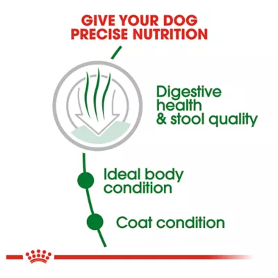 Product Royal Canin Size Health Nutrition Small Indoor Adult Dog Dry Food - Skin & Coat Health, 2.5 lb