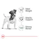 Product Royal Canin Small Breed Adult 8+ Senior Dry Dog Food