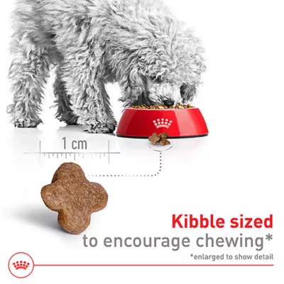 Product Royal Canin Small Breed Adult 8+ Senior Dry Dog Food