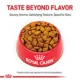 Product Royal Canin Canine Adult Dry Dog Food - Large Breed Joint Care Nutrition, 30 lb