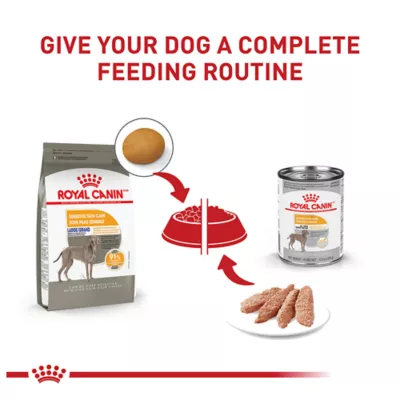 Product Royal Canin Canine Adult Dry Dog Food - Large Breed Sensitive Skin Care Nutrition, 30lb