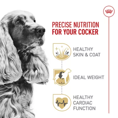 Product Royal Canin Cocker Spaniel Medium Breed Adult Dry Dog Food - Skin & Coat Health