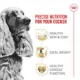 Product Royal Canin Cocker Spaniel Medium Breed Adult Dry Dog Food - Skin & Coat Health
