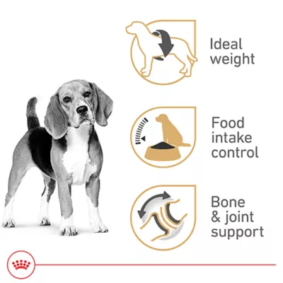Product Royal Canin Adult Dry Dog Food - Beagle Breed Health Nutrition, 6 lb