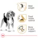Product Royal Canin Adult Dry Dog Food - Beagle Breed Health Nutrition, 6 lb