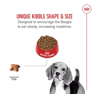 Product Royal Canin Adult Dry Dog Food - Beagle Breed Health Nutrition, 6 lb