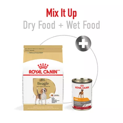 Product Royal Canin Adult Dry Dog Food - Beagle Breed Health Nutrition, 6 lb