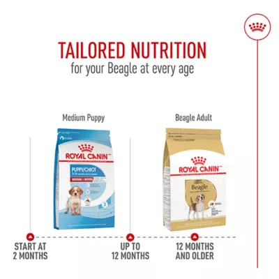 Product Royal Canin Adult Dry Dog Food - Beagle Breed Health Nutrition, 6 lb