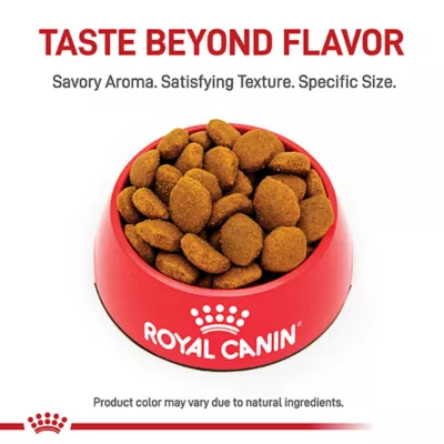 Product Royal Canin Breed Health Nutrition Great Dane Breed Specific Adult Dog Dry Food - 30 lb