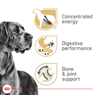 Product Royal Canin Breed Health Nutrition Great Dane Breed Specific Adult Dog Dry Food - 30 lb