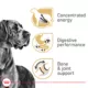 Product Royal Canin Breed Health Nutrition Great Dane Breed Specific Adult Dog Dry Food - 30 lb