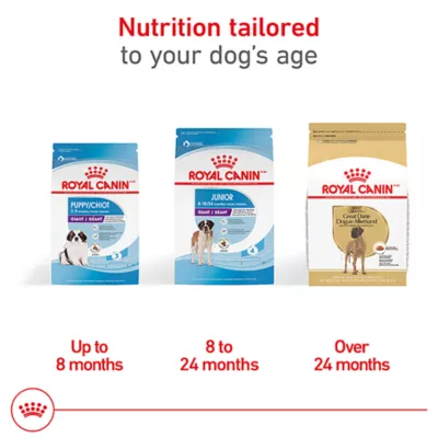 Product Royal Canin Breed Health Nutrition Great Dane Breed Specific Adult Dog Dry Food - 30 lb