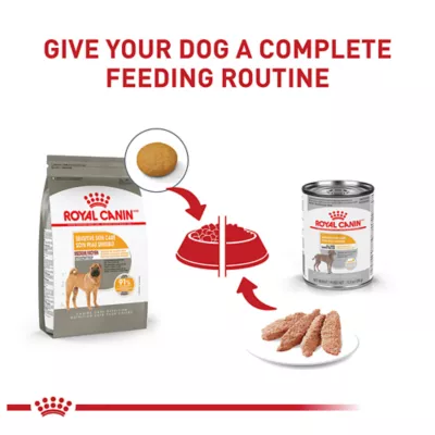 Product Royal Canin Canine Care Nutrition Sensitive Skin Care Medium Breed Adult Dog Dry Food - 17 lb