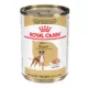 Product Royal Canin Boxer Large Breed Loaf in Sauce Adult Wet Dog Food - 13.5 Oz.