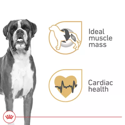 Product Royal Canin Boxer Large Breed Loaf in Sauce Adult Wet Dog Food - 13.5 Oz.