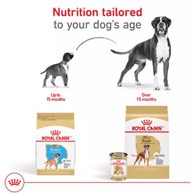 Product Royal Canin Boxer Large Breed Loaf in Sauce Adult Wet Dog Food - 13.5 Oz.