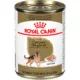 Product Royal Canin German Shepherd Large Breed Loaf in Sauce Adult Wet Dog Food - 13.5 Oz.