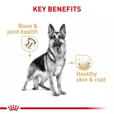 Product Royal Canin German Shepherd Large Breed Loaf in Sauce Adult Wet Dog Food - 13.5 Oz.