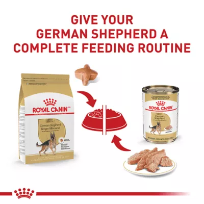 Product Royal Canin German Shepherd Large Breed Loaf in Sauce Adult Wet Dog Food - 13.5 Oz.