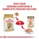 Product Royal Canin German Shepherd Large Breed Loaf in Sauce Adult Wet Dog Food - 13.5 Oz.