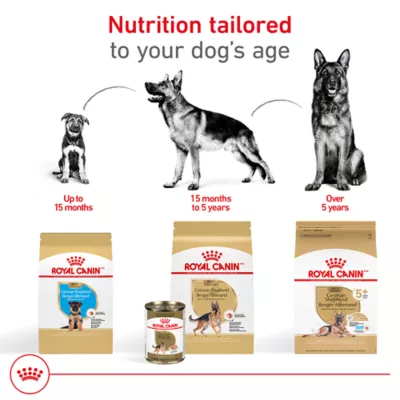 Product Royal Canin German Shepherd Large Breed Loaf in Sauce Adult Wet Dog Food - 13.5 Oz.