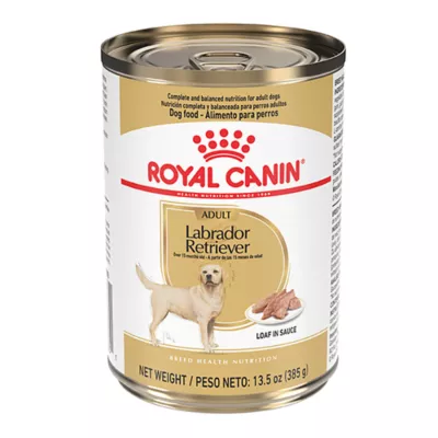 Product Royal Canin Labrador Retriever Large Breed Loaf in Sauce Adult Wet Dog Food - 13.5 Oz.
