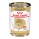 Product Royal Canin Labrador Retriever Large Breed Loaf in Sauce Adult Wet Dog Food - 13.5 Oz.