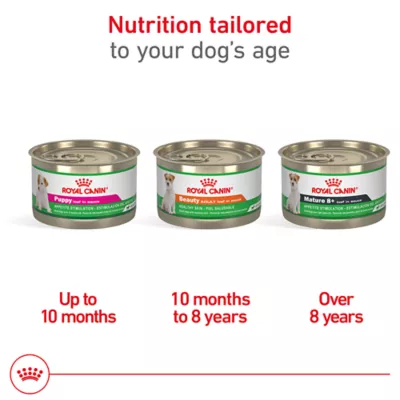 Product Royal Canin Canine Health Nutrition Loaf in Sauce Mature 8+ Adult Dog Wet Food - 5.2 oz