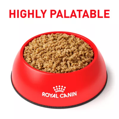 Product Royal Canin® Veterinary Diet Canine Renal Support T Adult Wet Dog Food Loaf - 13.5 oz