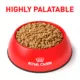 Product Royal Canin® Veterinary Diet Canine Renal Support T Adult Wet Dog Food Loaf - 13.5 oz