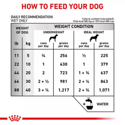 Product Royal Canin® Veterinary Diet Canine Renal Support T Adult Wet Dog Food Loaf - 13.5 oz