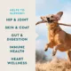 Product VETIQ 8-in-1 Multifunctional Dog Chew 60 count