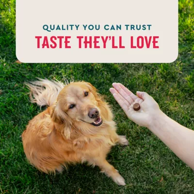 Product VETIQ 8-in-1 Multifunctional Dog Chew 60 count