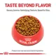 Product Royal Canin Hair & Skin Dry Adult Cat Food 3LB