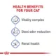 Product Royal Canin Feline Indoor 7+ Mature Dry Cat Food, Health Nutrition