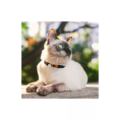 Product Pets First Washington Commanders Satin Ribbon Cat Collar