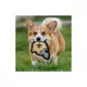 Product Pets First New Orleans Saints Helmet Tough Dog Toy
