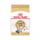 Product Royal Canin Feline Ragdoll Adult Dry Cat Food, Breed Nutrition