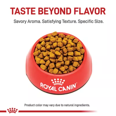Product Royal Canin Feline Ragdoll Adult Dry Cat Food, Breed Nutrition