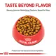 Product Royal Canin Feline Ragdoll Adult Dry Cat Food, Breed Nutrition
