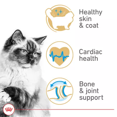 Product Royal Canin Feline Ragdoll Adult Dry Cat Food, Breed Nutrition