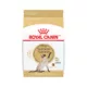 Product Royal Canin Feline Siamese Adult Dry Cat Food, Breed Nutrition
