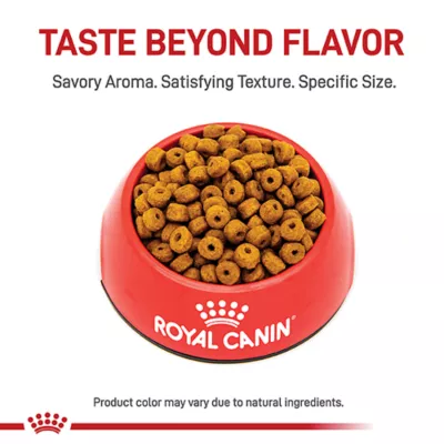 Product Royal Canin Feline Siamese Adult Dry Cat Food, Breed Nutrition
