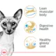 Product Royal Canin Feline Siamese Adult Dry Cat Food, Breed Nutrition