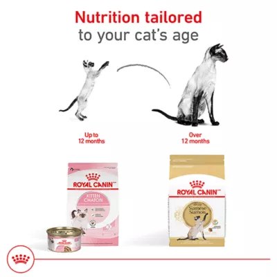 Product Royal Canin Feline Siamese Adult Dry Cat Food, Breed Nutrition