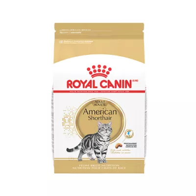 Product Royal Canin American Shorthair Adult Cat Food 5.5LB